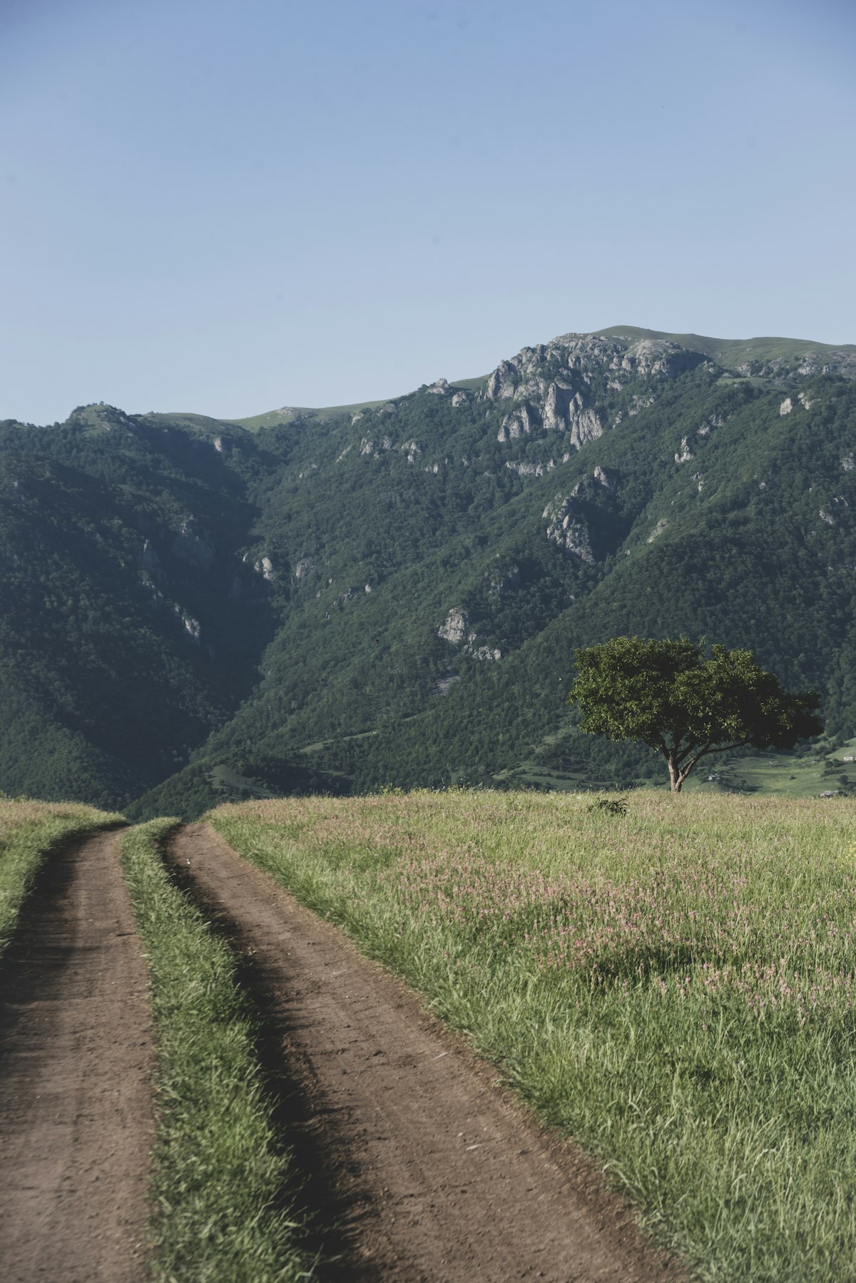 Mountain trail winding through green meadows and forested ridges in Dsegh, northern Armenia