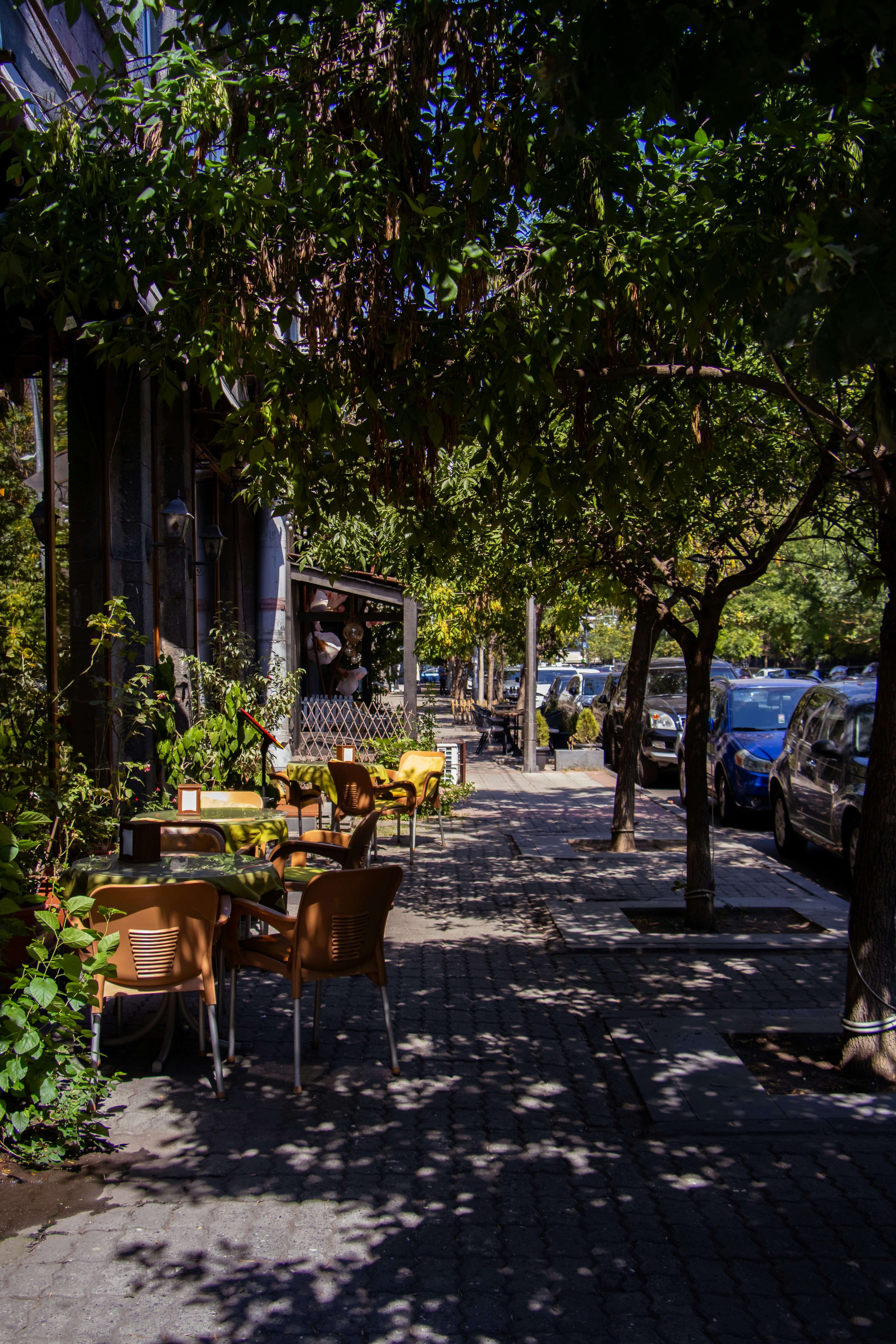 Outdoor café terrace with shaded tables on a tree-lined street in Yerevan, Armenia