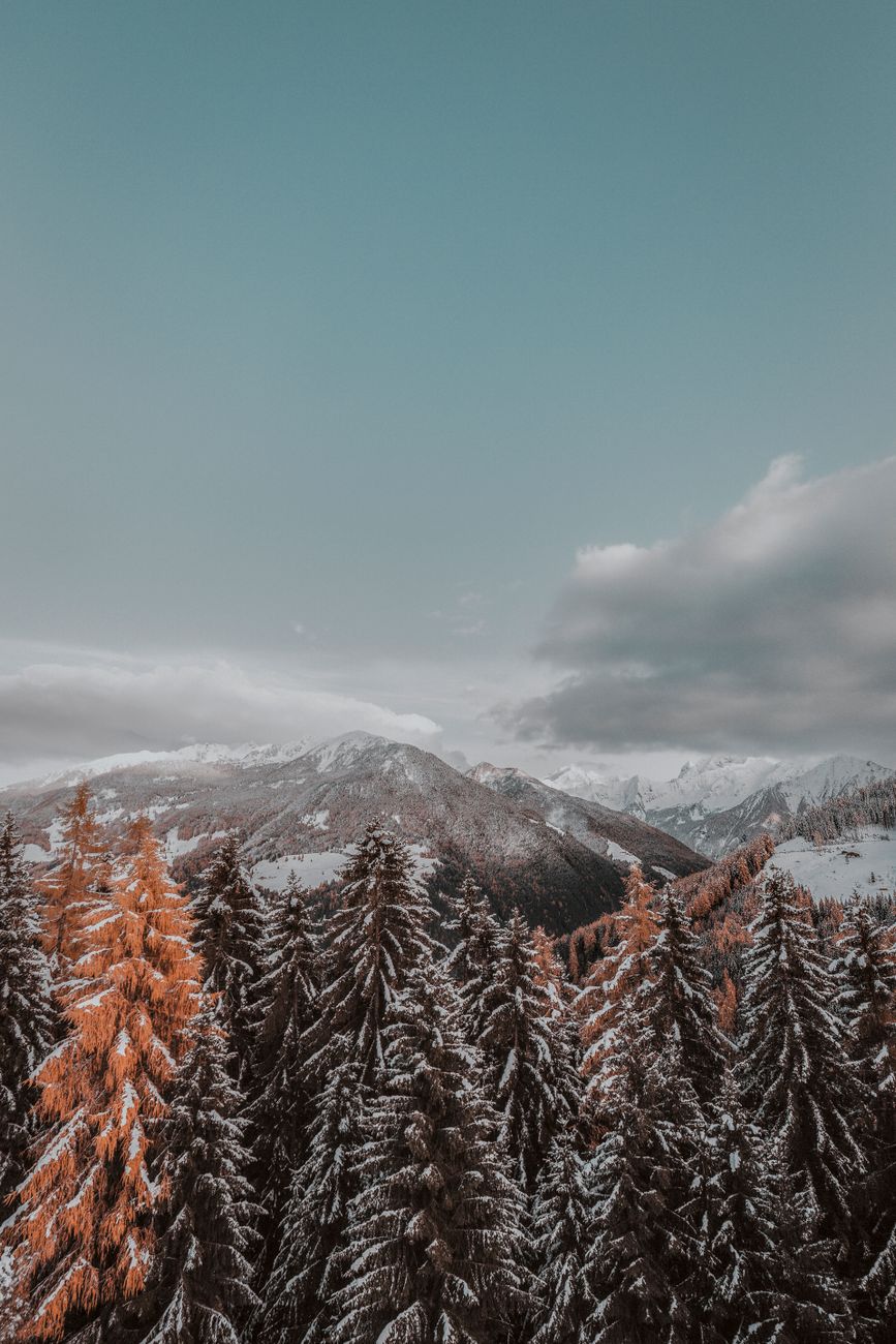 Snow-covered slopes and pine forests at Tsakhkadzor mountain resort, Armenia